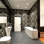 Historical Luxury Homes - Luxus Loft Wallstreet 公寓 弗赖堡
