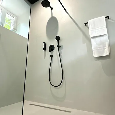 Historical Luxury Homes - Luxus Loft Wallstreet Freiburg im Breisgau