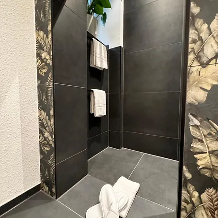 Historical Luxury Homes - Luxus Loft Wallstreet * Freiburg im Breisgau