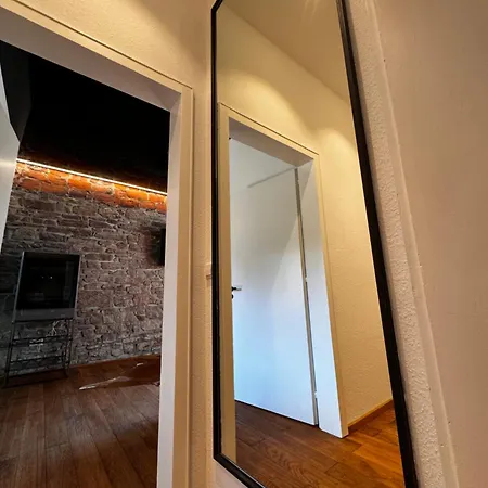 Lägenhet Historical Luxury Homes - Luxus Loft Wallstreet Freiburg im Breisgau
