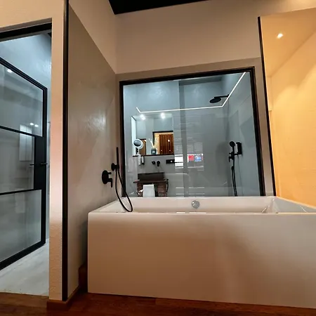 Apartment Historical Luxury Homes - Luxus Loft Wallstreet Freiburg im Breisgau