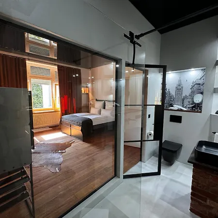 Apartment Historical Luxury Homes - Luxus Loft Wallstreet Freiburg im Breisgau