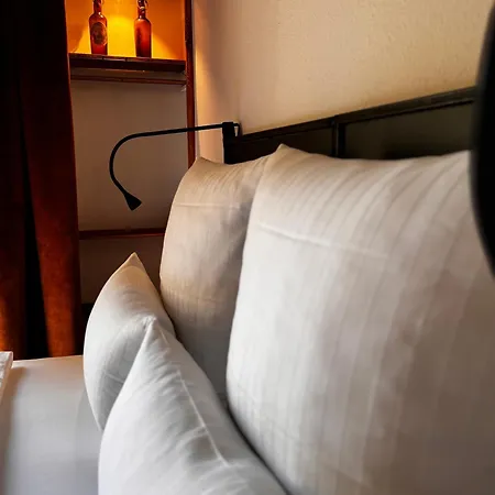 Historical Luxury Homes - Luxus Loft Wallstreet Freiburg im Breisgau