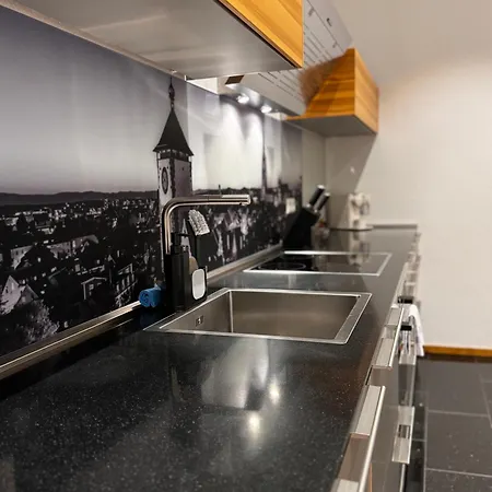 Historical Luxury Homes - Luxus Loft Wallstreet * Fryburg Bryzgowijski