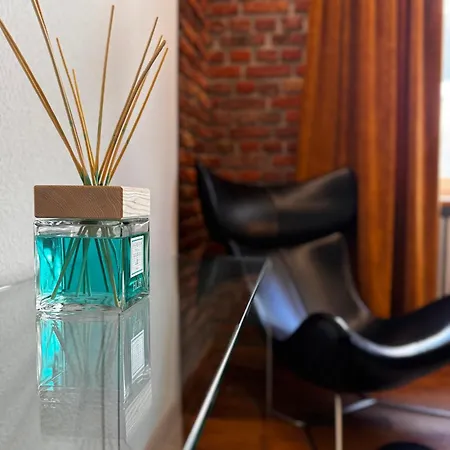 Historical Luxury Homes - Luxus Loft Wallstreet * Freiburg im Breisgau