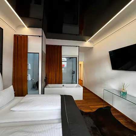 Apartment Historical Luxury Homes - Luxus Loft Wallstreet Freiburg im Breisgau