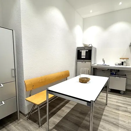 Historical Luxury Homes - Luxus Loft Wallstreet * Fryburg Bryzgowijski