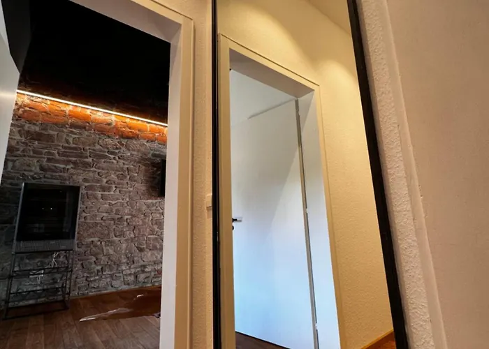 Daire Historical Luxury Homes - Luxus Loft Wallstreet Freiburg im Breisgau