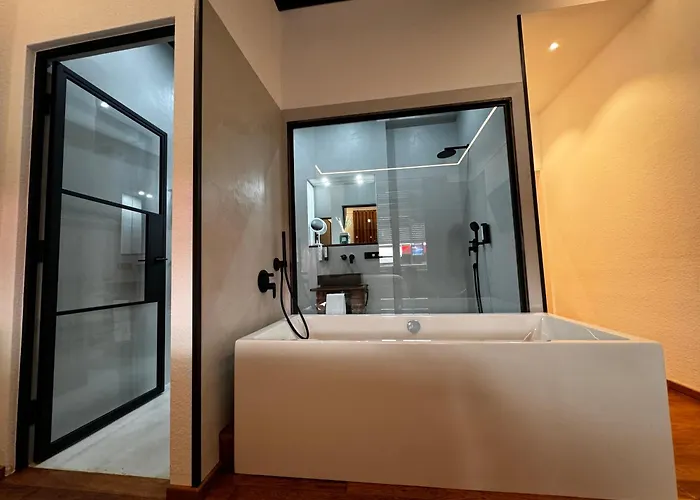 Daire Historical Luxury Homes - Luxus Loft Wallstreet Freiburg im Breisgau