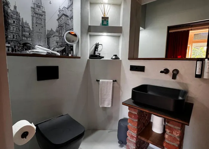 Historical Luxury Homes - Luxus Loft Wallstreet Freiburg im Breisgau