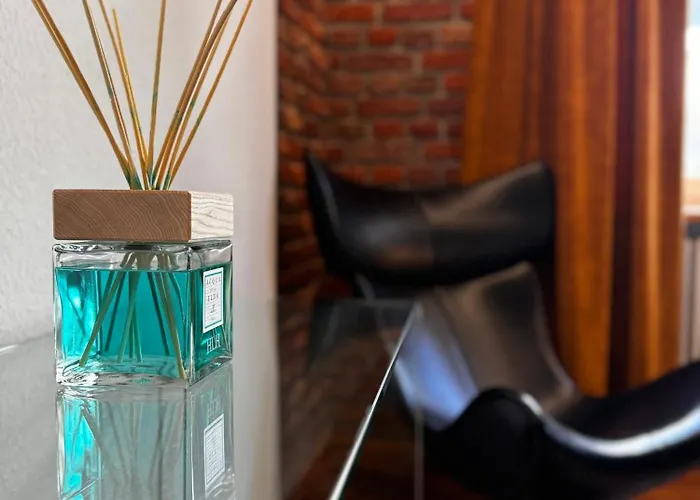 Historical Luxury Homes - Luxus Loft Wallstreet * Freiburg im Breisgau