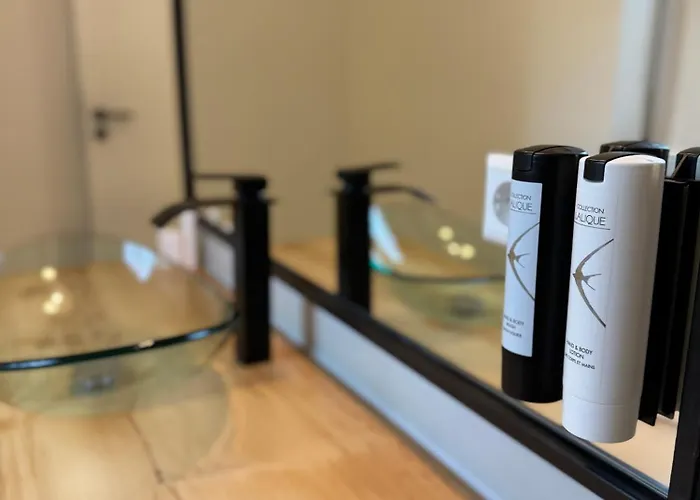 Daire Historical Luxury Homes - Luxus Loft Wallstreet Freiburg im Breisgau